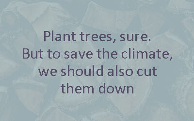 Plant trees, sure. But to save the climate, we should also cut them down