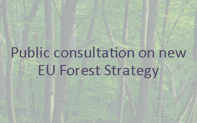 Public consultation on new EU Forest Strategy
